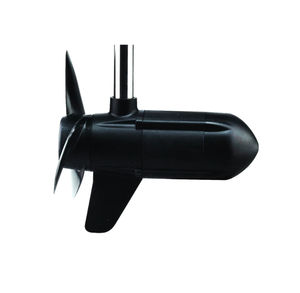 motor out-board