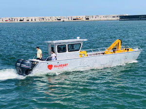 barco profissional barco de desembarque