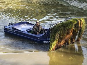 barco cortador de erva