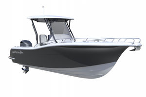 lancha Cabin Cruiser com motor de popa