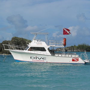barco profissional barco auxiliar para mergulho