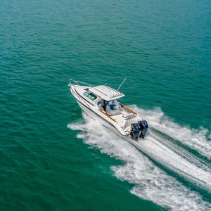 lancha Cabin Cruiser com motor de centro / com motor de popa / bimotor / com hard-top
