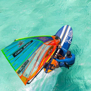 prancha de windsurf de Freeride / de Freerace / de velocidade
