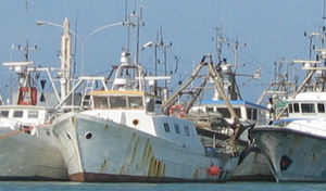 sonar de pesca para navio de pesca