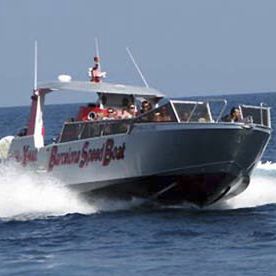 barco profissional barco de passeio / com motor de centro