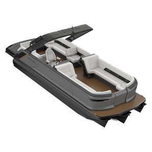 pontoon boat com motor de popa