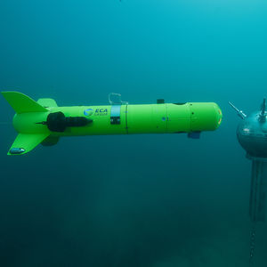 AUV