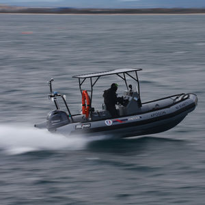 barco profissional barco de trabalho / com motor de popa / barco inflável semirrígido
