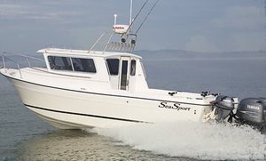 lancha Cabin Cruiser com motor de popa 1