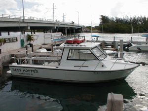 lancha Express Cruiser com motor de centro