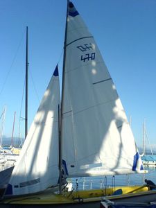 foque / para barco de vela ligeira / 470