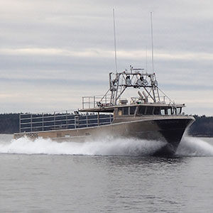 barco de pesca profissional