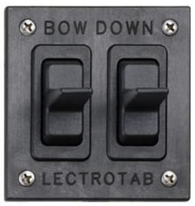 interruptor de balanço
