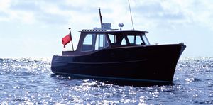 lancha Express Cruiser com motor de centro / a diesel / bimotor / com casco semiplanante