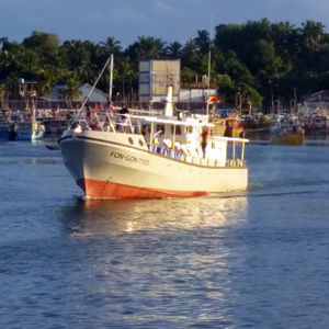 barco profissional barco de pesca profissional 1