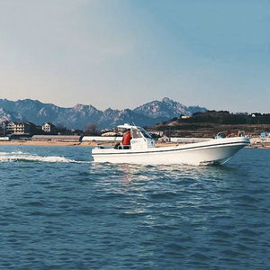 barco profissional barco de pesca profissional