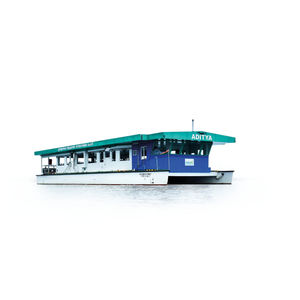 barco profissional barco de passageiros / catamarã / elétrico a energia solar / com zero emissões