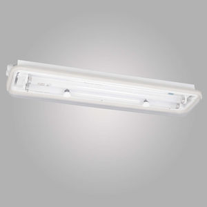 plafon para ambiente externo 1