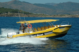 barco profissional barco de passeio / com motor de centro