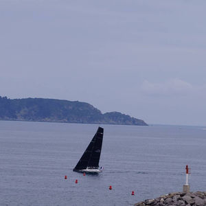 veleiro de regata