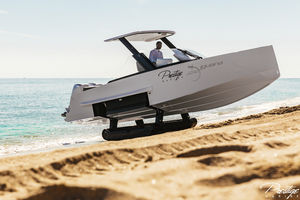 lancha Cabin Cruiser com motor de popa