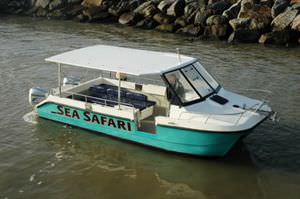 barco profissional barco de passeio