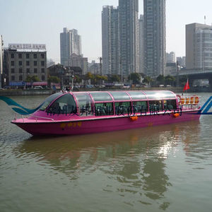 barco profissional táxi aquático