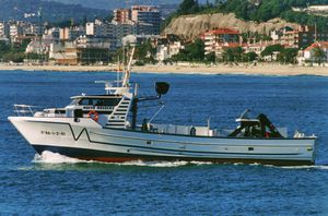 barco profissional barco de pesca profissional / com motor de centro