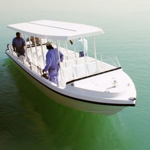 barco profissional barco de passageiros
