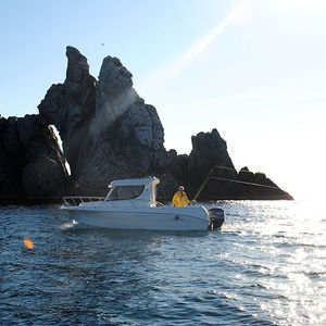 lancha Cabin Cruiser com motor de popa / com casa do leme / de pesca / máx. 8 pessoas