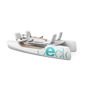 barco a pedais de 4 lugares