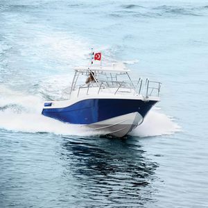 barco de pesca-passeio com motor de centro / máx. 5 pessoas / com cabine