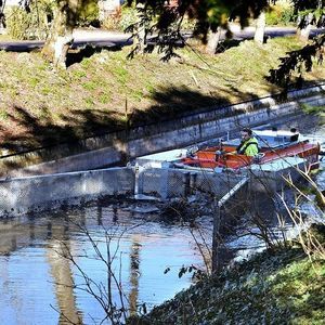 barco profissional draga
