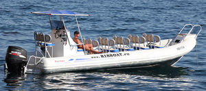 barco inflável com motor de popa / bimotor / semirrígido / com console central