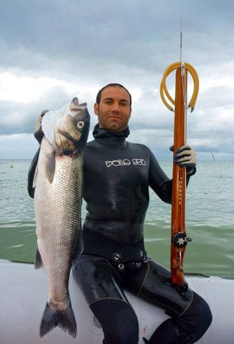 Arbalete de pesca submarina em teca - BEAM - Teak Sea