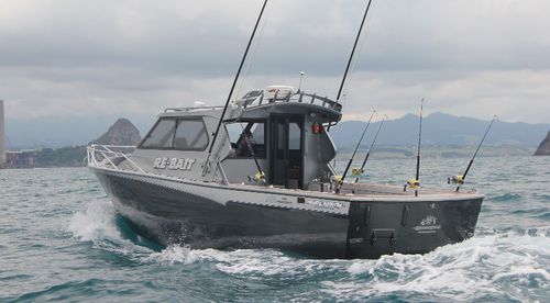 Barco profissional barco de pesca profissional - White Pointer Boats Ltd - com motor de centro