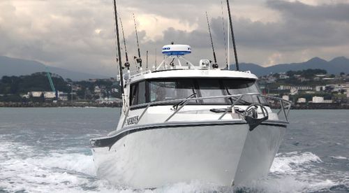 Barco profissional barco de pesca profissional - 970  - White Pointer Boats Ltd - com motor de centro