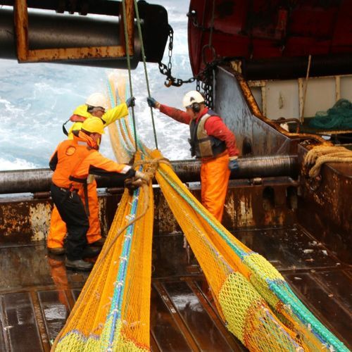 Rede de pesca - Turbot - Vónin - de arrasto