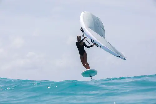 196633-18999456.webp