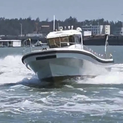 Lancha Express Cruiser com motor de popa - PRO 37 - PANGA FERRET - bimotor / com casco de planeio / com casa do leme