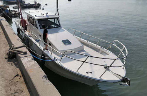 Lancha Express Cruiser com motor de popa - PRO 46 - PANGA FERRET - bimotor / com hard-top / de pesca esportiva