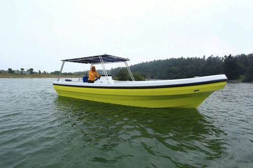 Barco profissional barco de passageiros - PANGA FERRET - barco auxiliar para mergulho / barco de pesca profissional / com motor de popa