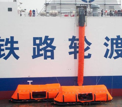 Sistema de evacuação marítima para navio - LMES-D series - Zhenjiang Longyear Marine Equipment Co.,Ltd