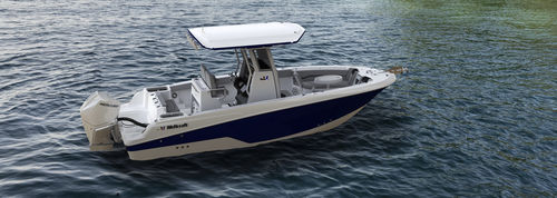 Lancha de console central com motor de popa - 243 Fisherman - Wellcraft - bimotor / de pesca / de cruzeiro costeiro