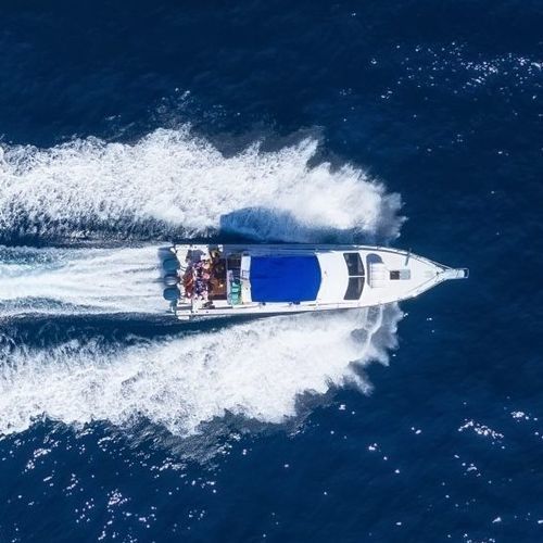 Lancha Express Cruiser com motor de centro - Q6 - Vi Yachts - bimotor / com flybridge / máx. 14 pessoas