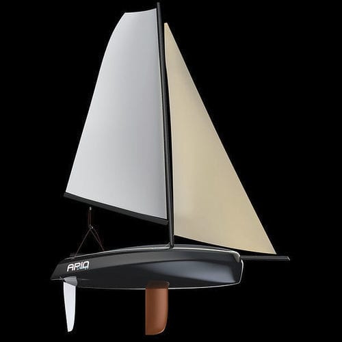 Barco de vela ligeira para dois tripulantes - PERFORMANCE 10 DINGHY - Aeleos Composites - de lazer / em fibra de carbono