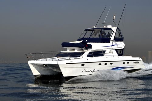 Lancha Express Cruiser catamarã - POWERCAT 450 - African Cats - com motor de centro / com flybridge / de pesca esportiva