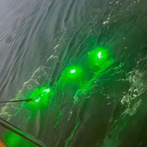 Iluminação subaquática para pesca profissional - Pisces - SafetyNet Technologies - de LED