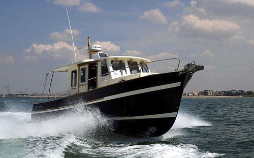 Barco de pesca-passeio com motor de popa - 850  - Rhea Marine - com motor de centro / a diesel / bimotor