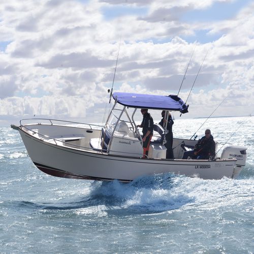 Lancha de console central com motor de popa - 23  - Rhea Marine - com casco de planeio / para esqui aquático / esportiva
